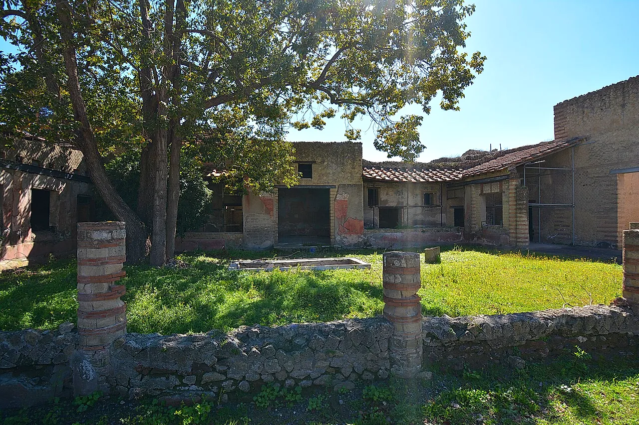 The garden courtyard of the House of the Mosaic Atrium under a plane tree