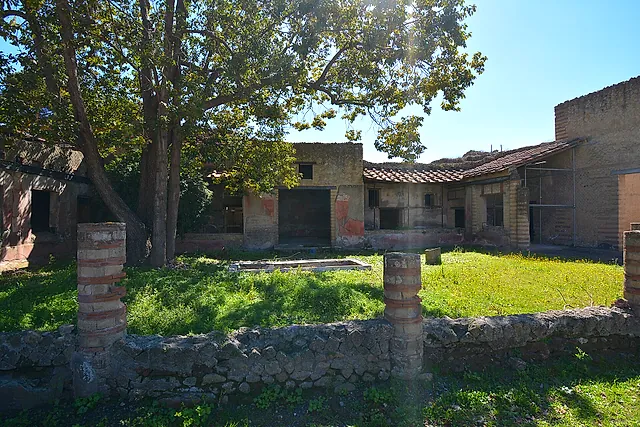 The garden courtyard of the House of the Mosaic Atrium under a plane tree